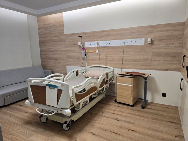 Patient suite with concealed lighting, timber finishes and companion seating