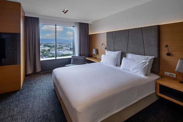 Hotel guest room with an upholstered headboard, timber detailing and natural daylight