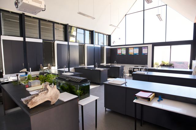Science teaching laboratory with integrated benches and generous daylight