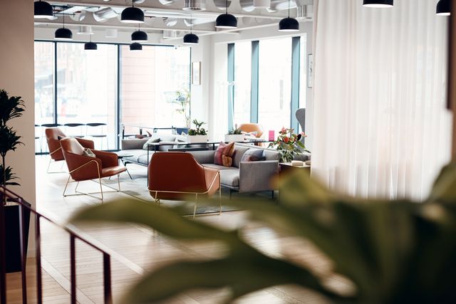 Bright office lounge with rust-coloured chairs, grey sofas, indoor plants and large windows beside a white slatted partition.