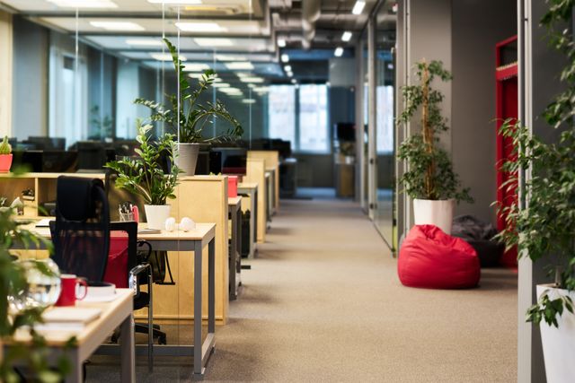 Office desks with timber dividers and plants beside a carpeted aisle, glazed rooms and colourful informal seating.