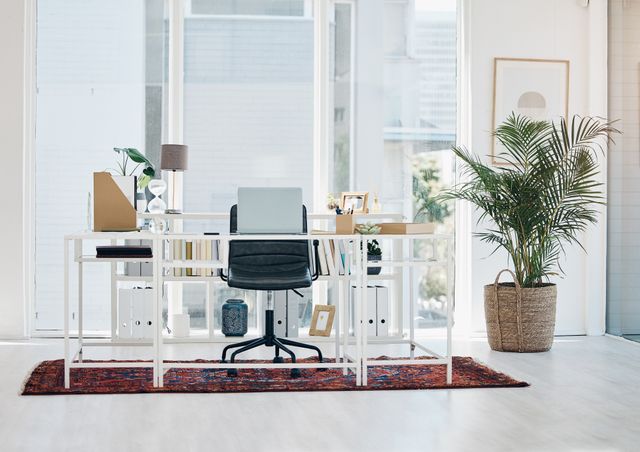 White desk and open storage with a black office chair, patterned rug and large potted palm beside full-height windows.