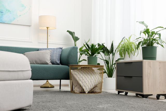 Light-filled living room with neutral and green seating, indoor plants and a timber console.