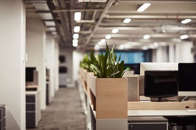 Planter-topped dividers separate desks with computer monitors beside an aisle in an open-plan office.