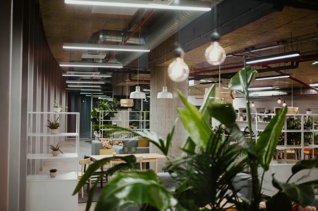 Open shelves, plants and lounge seating divide a shared interior beneath exposed ducts and suspended lights.