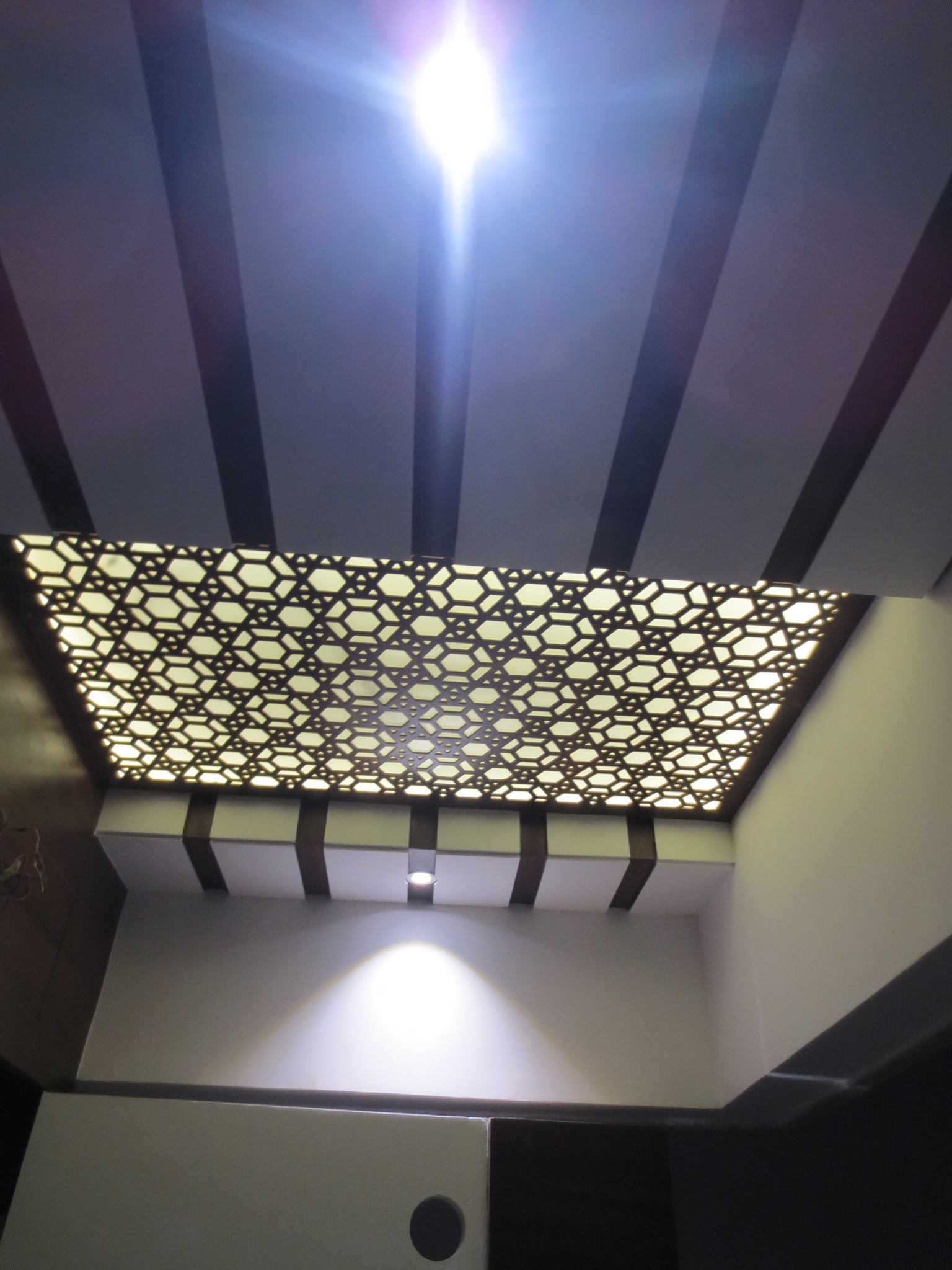 Fasle Ceiling_2