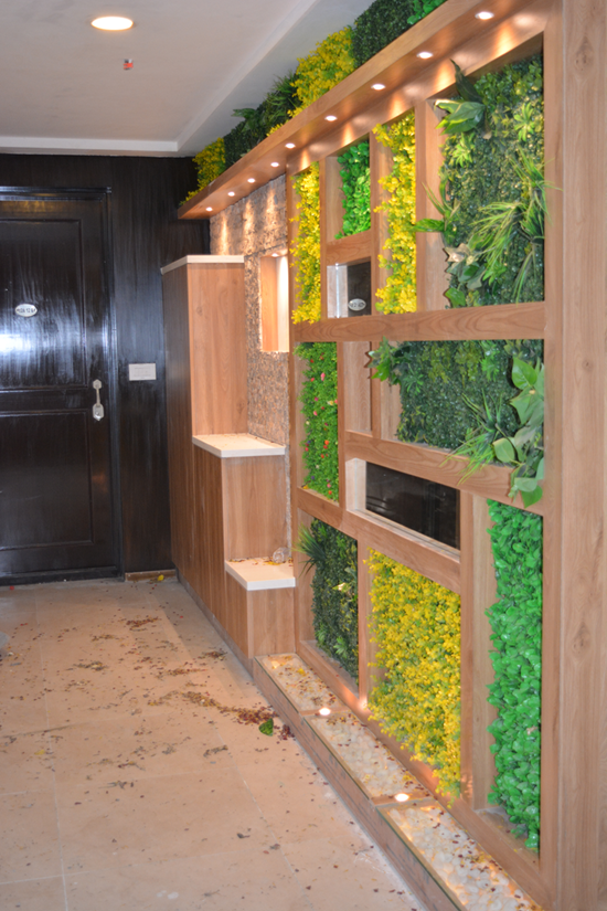 Entrance_ View