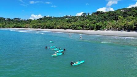 This image features an aerial view of surfers on bright turquoise boards floating in clear ocean water alongside a sandy beach backed by dense, lush green hills.